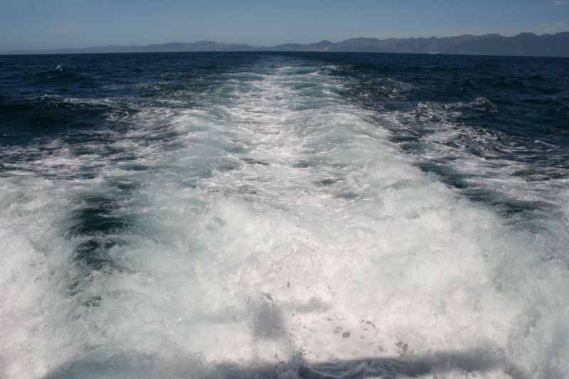 Nieuw-Zeeland 2011 - 1217